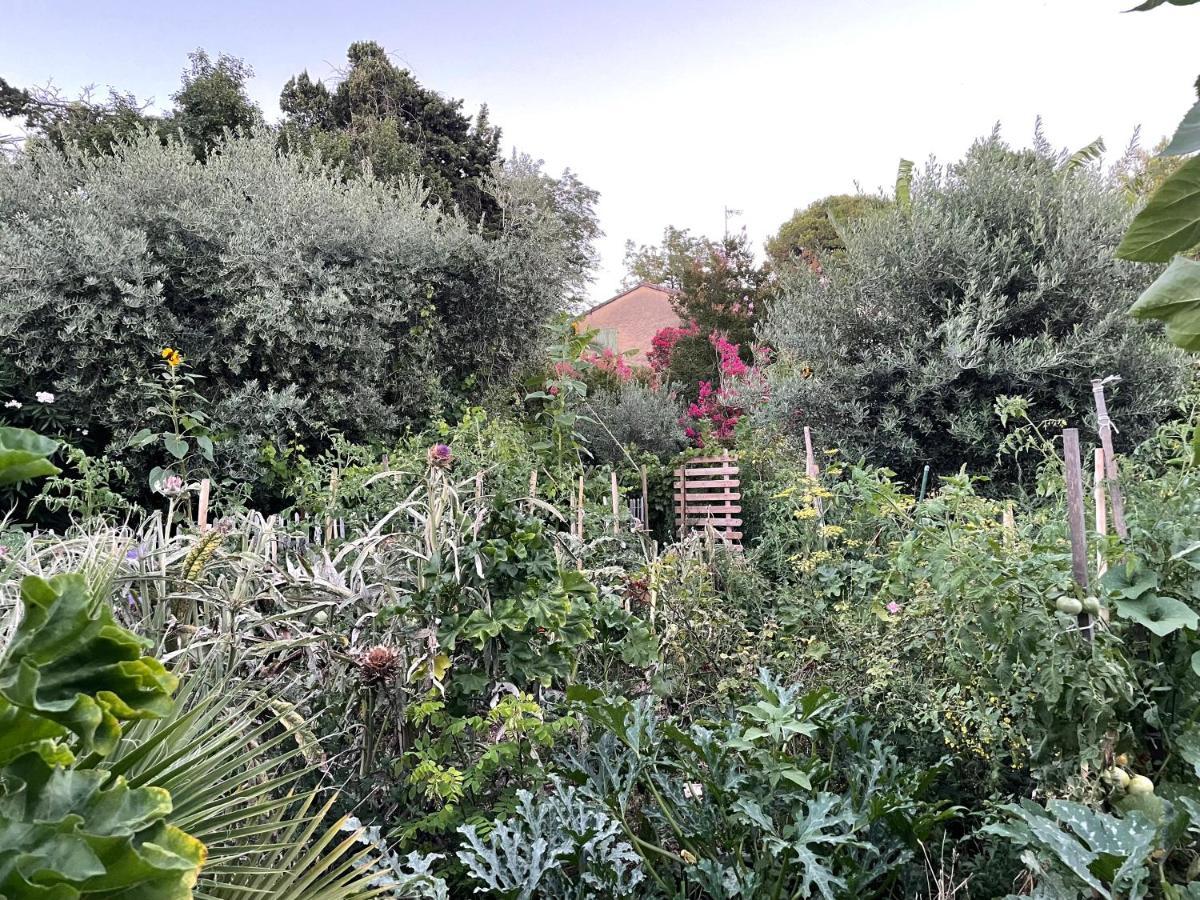 Villa LEONA Bollène Esterno foto