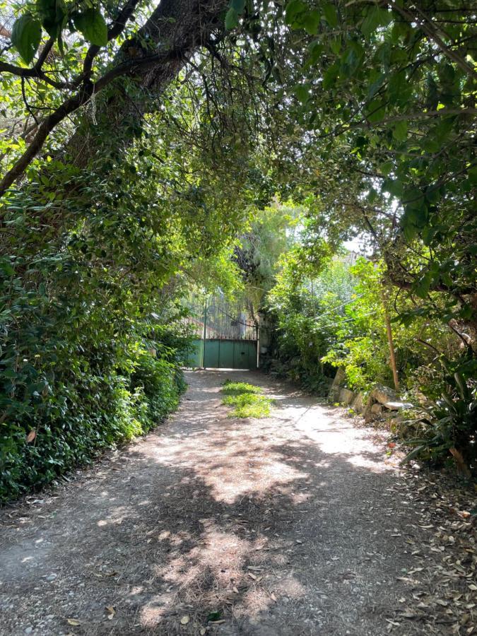 Villa LEONA Bollène Esterno foto