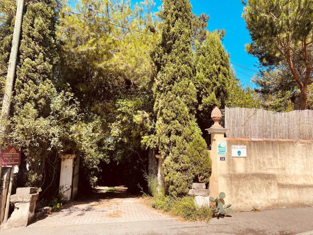 Villa LEONA Bollène Esterno foto