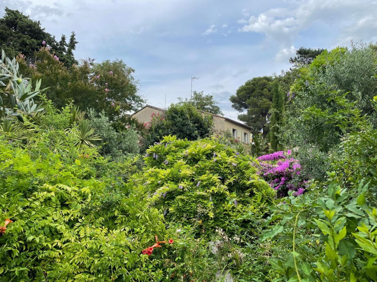 Villa LEONA Bollène Esterno foto