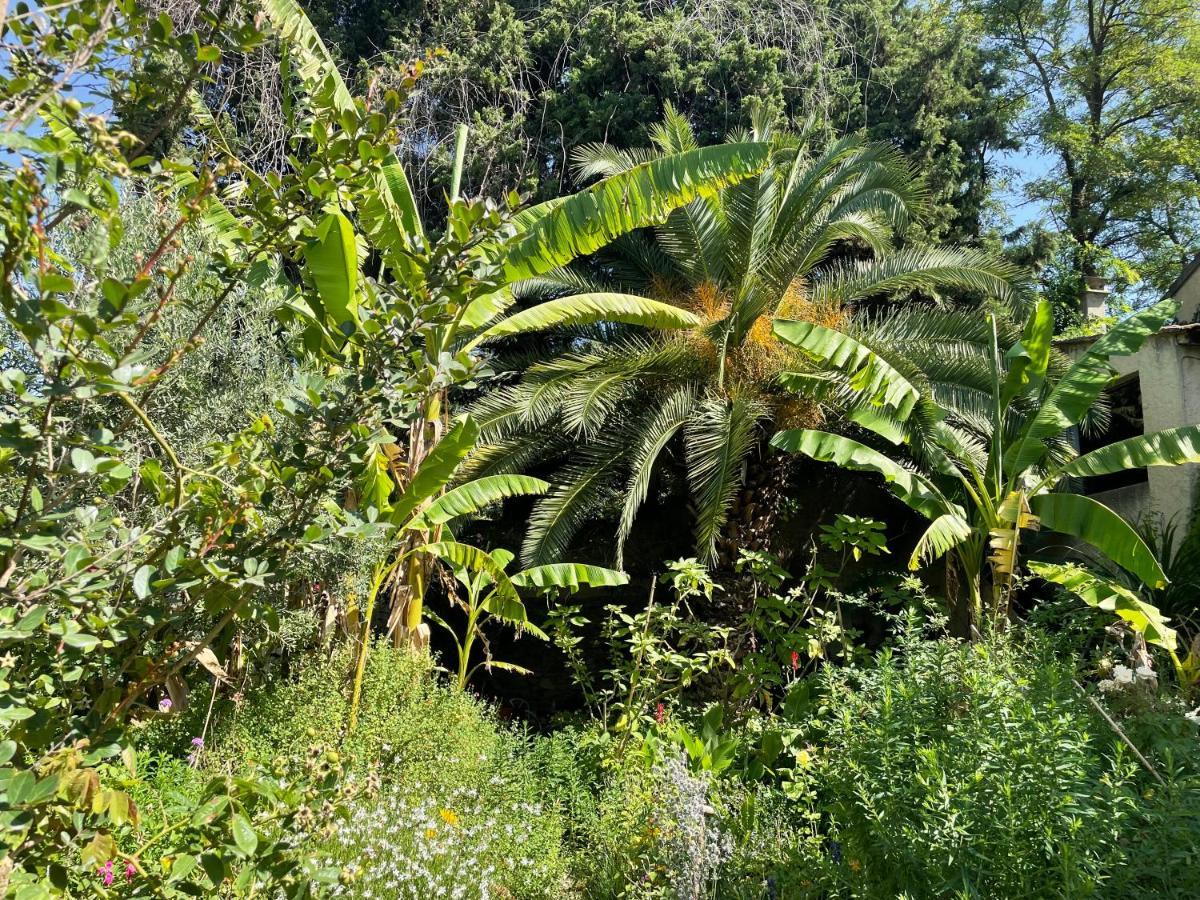 Villa LEONA Bollène Esterno foto
