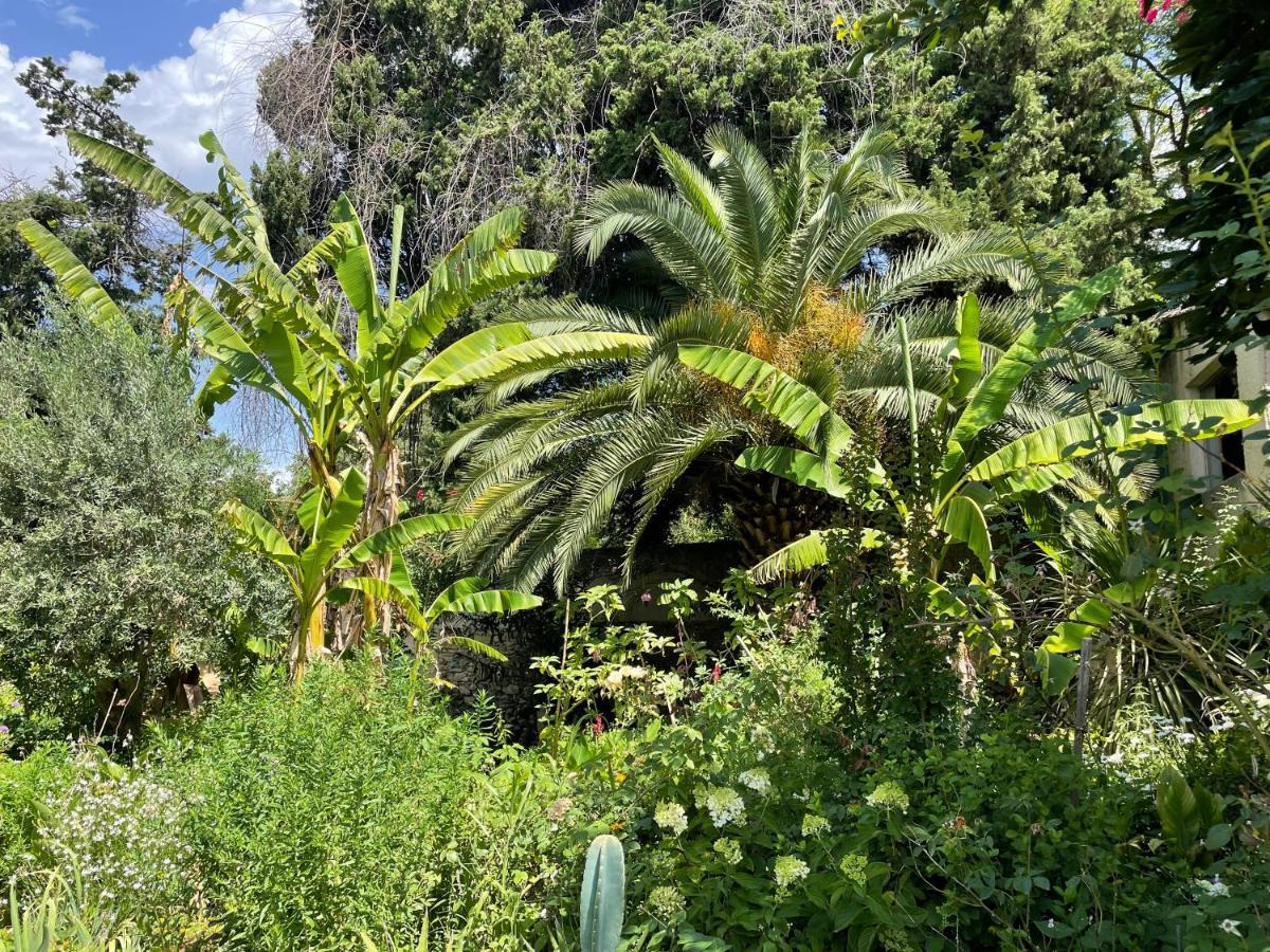 Villa LEONA Bollène Esterno foto