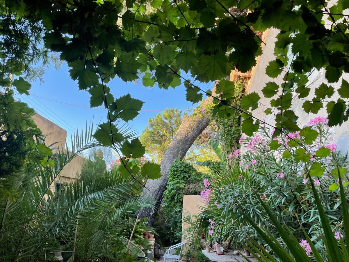 Villa LEONA Bollène Esterno foto