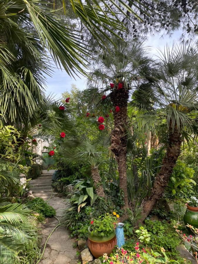 Villa LEONA Bollène Esterno foto